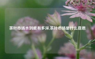 茶叶市场水到底有多深,茶叶市场是什么意思