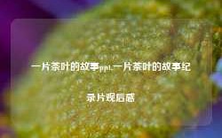 一片茶叶的故事ppt,一片茶叶的故事纪录片观后感