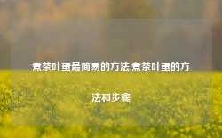 煮茶叶蛋最简易的方法,煮茶叶蛋的方法和步骤