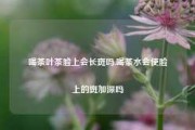 喝茶叶茶脸上会长斑吗,喝茶水会使脸上的斑加深吗