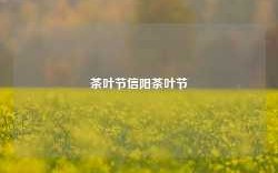 茶叶节信阳茶叶节