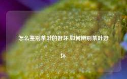 怎么鉴别茶叶的好坏,如何辨别茶叶好坏