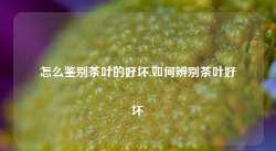 怎么鉴别茶叶的好坏,如何辨别茶叶好坏