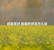 葭萌茶叶,葭萌的拼音怎么读