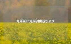 葭萌茶叶,葭萌的拼音怎么读