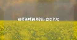 葭萌茶叶,葭萌的拼音怎么读