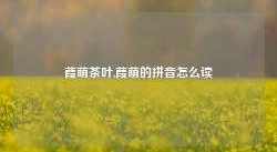 葭萌茶叶,葭萌的拼音怎么读