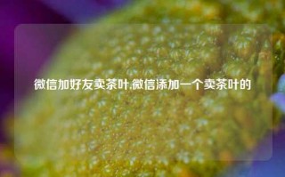 微信加好友卖茶叶,微信添加一个卖茶叶的