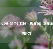 和谐广场茶叶招聘信息,和谐广场喝茶的地方