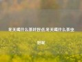 冬天喝什么茶叶好点,冬天喝什么茶业好呢