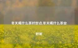 冬天喝什么茶叶好点,冬天喝什么茶业好呢