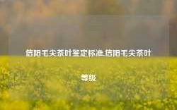 信阳毛尖茶叶鉴定标准,信阳毛尖茶叶等级