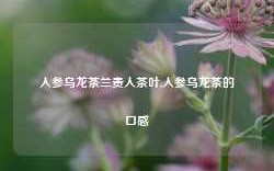 人参乌龙茶兰贵人茶叶,人参乌龙茶的口感