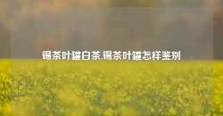 锡茶叶罐白茶,锡茶叶罐怎样鉴别