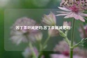 苦丁茶叶减肥吗,苦丁茶能减肥吗?