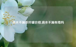 滴水不漏茶叶罐价格,滴水不漏有毒吗