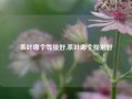 茶叶哪个等级好,茶叶哪个级别好