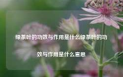 绿茶叶的功效与作用是什么绿茶叶的功效与作用是什么意思