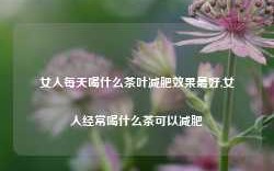 女人每天喝什么茶叶减肥效果最好,女人经常喝什么茶可以减肥