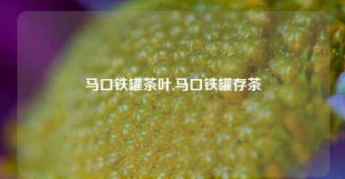 马口铁罐茶叶,马口铁罐存茶