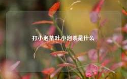 打小泡茶叶,小泡茶是什么