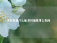 茶叶蛋是什么蛋,茶叶蛋是什么东西