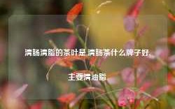 清肠清脂的茶叶是,清肠茶什么牌子好,主要清油脂