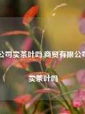 商贸公司卖茶叶吗,商贸有限公司可以卖茶叶吗