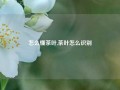 怎么懂茶叶,茶叶怎么识别