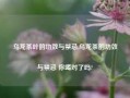 乌龙茶叶的功效与禁忌,乌龙茶的功效与禁忌 你喝对了吗?