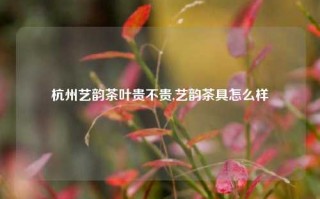 杭州艺韵茶叶贵不贵,艺韵茶具怎么样