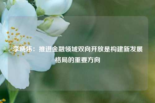 李晓炜：推进金融领域双向开放是构建新发展格局的重要方向