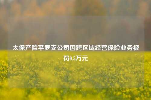 太保产险平罗支公司因跨区域经营保险业务被罚0.5万元