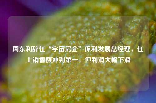 周东利辞任“宇宙房企”保利发展总经理，任上销售额冲到第一，但利润大幅下滑