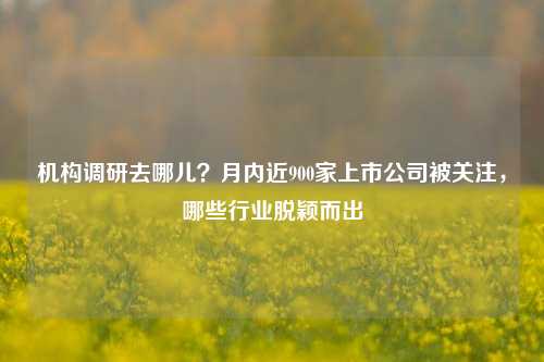 机构调研去哪儿？月内近900家上市公司被关注，哪些行业脱颖而出