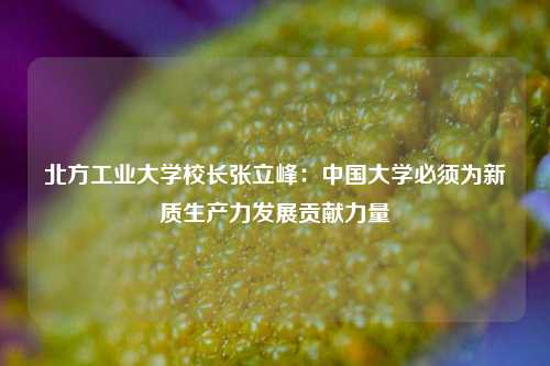 北方工业大学校长张立峰：中国大学必须为新质生产力发展贡献力量