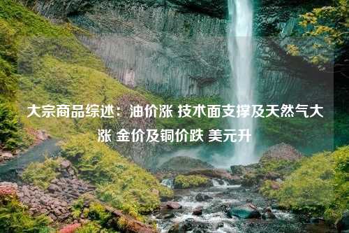 大宗商品综述：油价涨 技术面支撑及天然气大涨 金价及铜价跌 美元升