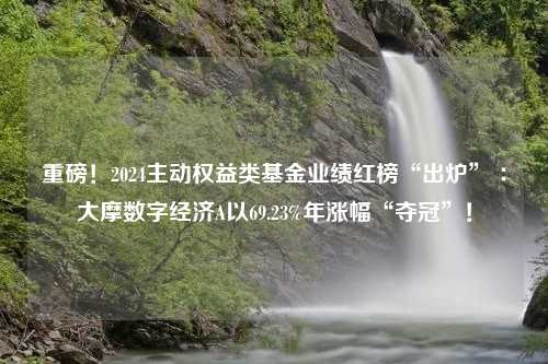 重磅！2024主动权益类基金业绩红榜“出炉” ：大摩数字经济A以69.23%年涨幅“夺冠”！