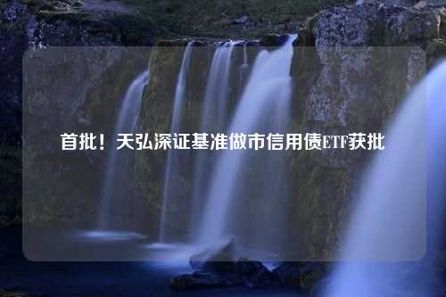 首批！天弘深证基准做市信用债ETF获批