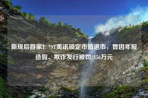 新规后首家！*ST美讯锁定市值退市，曾因年报造假、欺诈发行被罚2156万元