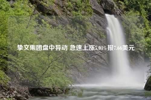 挚文集团盘中异动 急速上涨5.01%报7.66美元