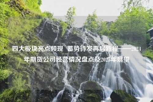 四大板块亮点频现  蓄势待发再启新程——2024年期货公司经营情况盘点及2025年展望