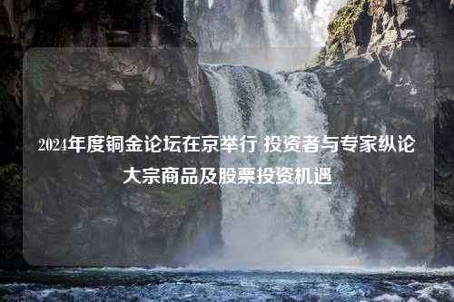 2024年度铜金论坛在京举行 投资者与专家纵论大宗商品及股票投资机遇