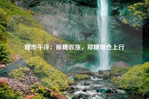 糖市午评：原糖收涨，郑糖增仓上行