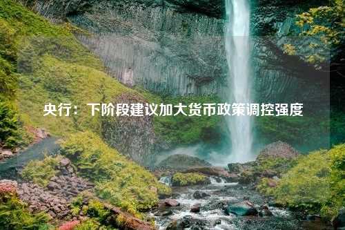 央行：下阶段建议加大货币政策调控强度