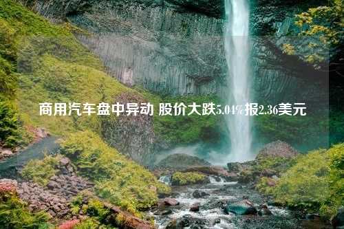 商用汽车盘中异动 股价大跌5.04%报2.36美元