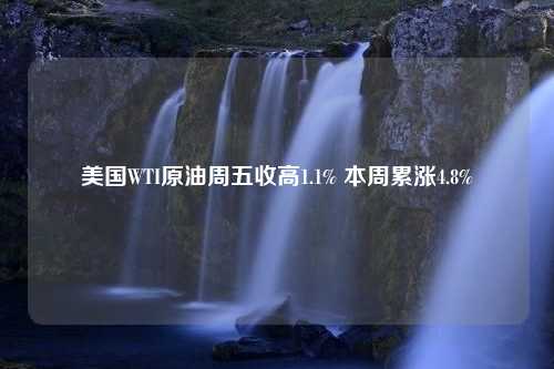 美国WTI原油周五收高1.1% 本周累涨4.8%