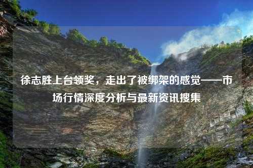 徐志胜上台领奖，走出了被绑架的感觉——市场行情深度分析与最新资讯搜集