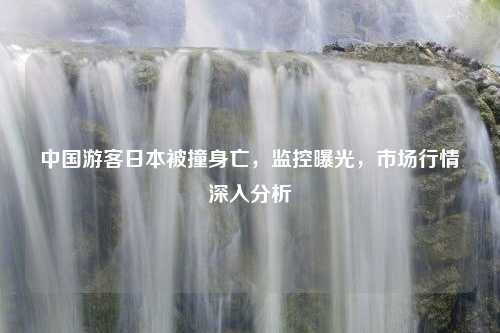 中国游客日本被撞身亡，监控曝光，市场行情深入分析