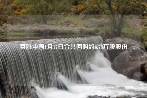 百胜中国1月17日合共回购约6.78万股股份